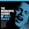 ANALOGUE PRODUCTIONS APP-131 THE WONDERFUL SOUNDS OF MALE VOCALS
